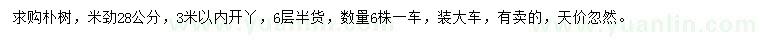 求購米徑28公分樸樹