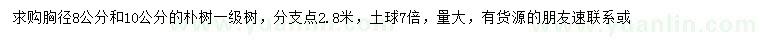 求購胸徑8、10公分樸樹