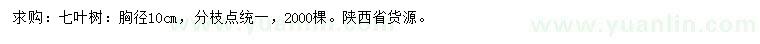 求購(gòu)胸徑10公分七葉樹(shù)