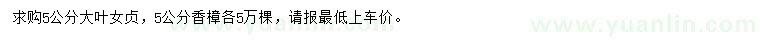 求購(gòu)5公分大葉女貞、香樟