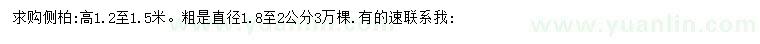 求購高1.2-1.5米側(cè)柏