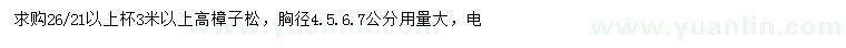 求購高3米以上樟子松
