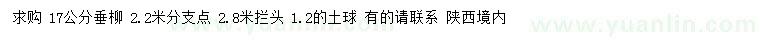 求購17公分垂柳
