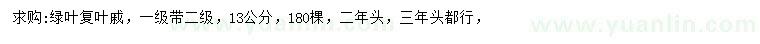 求購(gòu)13公分綠葉復(fù)葉槭