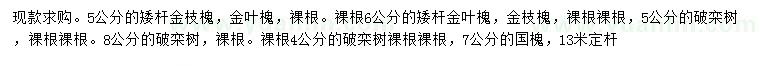 求購(gòu)金枝槐、金葉槐、欒樹(shù)等