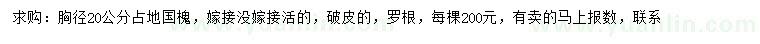 求購胸徑20公分國槐