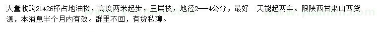 求購高2米起步油松