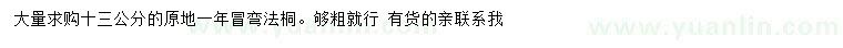 求購(gòu)13公分彎法桐