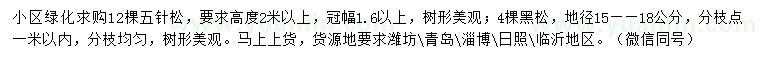 求購(gòu)高2米以上五針?biāo)?、地?5-18公分黑松