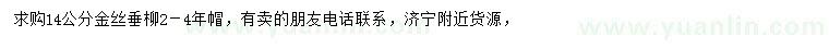 求購14公分金絲垂柳