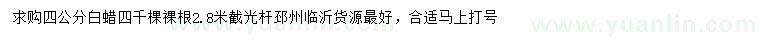 求購(gòu)4公分白蠟