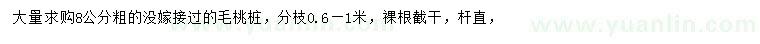 求購8公分毛桃樁