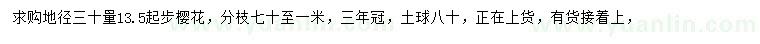 求購地徑30量13.5公分起步櫻花