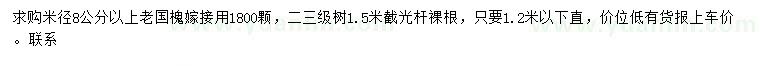 求購(gòu)米徑8公分以上老國(guó)槐