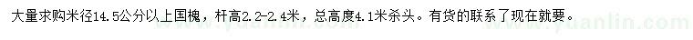 求購(gòu)米徑14.5公分以上國(guó)槐