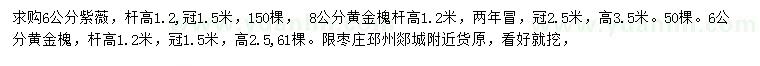 求購(gòu)紫薇、黃金槐、黃金槐