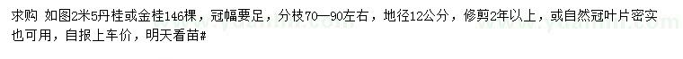 求購地徑12公分丹桂或金桂