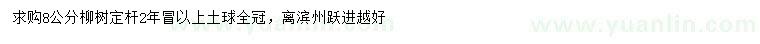 求購求購8公分柳