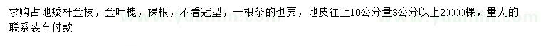 求購10公分量3公分以上金枝、金葉槐