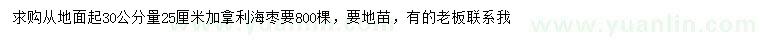 求購30公分量25公分加拿利海棗