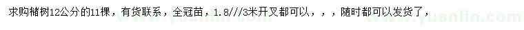 求購12公分櫧樹