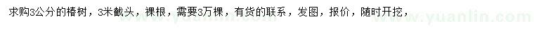 求購3公分椿樹