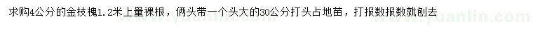 求購1.2米量4公分金枝槐