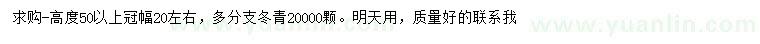 求購(gòu)高50公分以上多分枝冬青