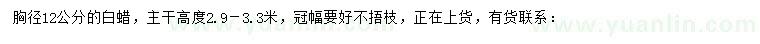 求購胸徑12公分白蠟