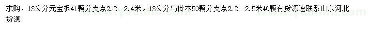 求購(gòu)13公分元寶楓、馬褂木