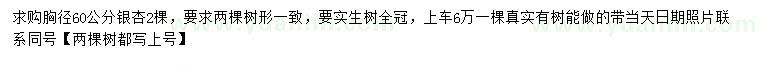 求購胸徑60公分銀杏