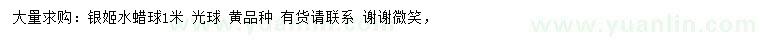 求購(gòu)1米銀姬水蠟球