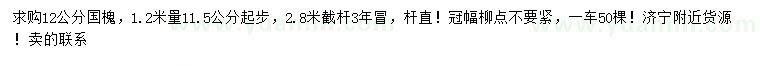 求購1.2米量11.5公分起步12公分國槐