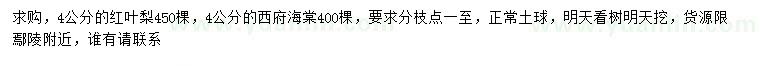 求購4公分紅葉梨、西府海棠