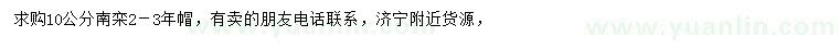 求購10公分南欒