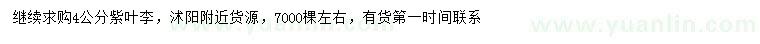 求購4公分紫葉李