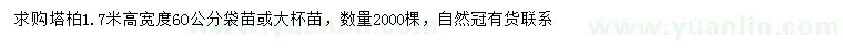 求購高1.7米塔柏