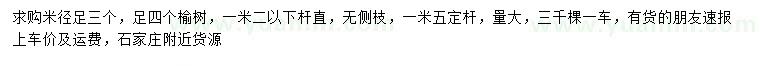 求購米徑3、4公分榆樹