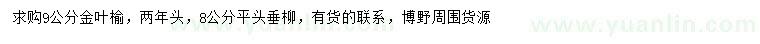 求購(gòu)9公分金葉榆、8公分垂柳