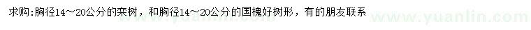 求購胸徑14-20公分欒樹、國槐