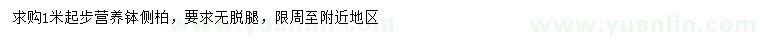 求購1米以上側(cè)柏