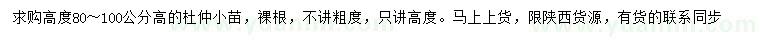 求購高80-100公分杜仲