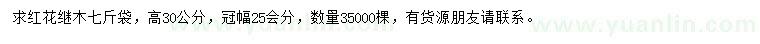 求購(gòu)高30公分紅花繼木