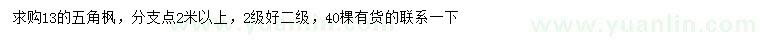 求購13公分五角楓