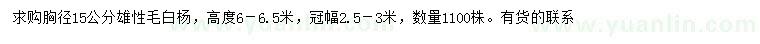 求購胸徑15公分雄性毛白楊