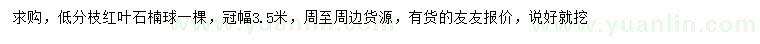 求購冠幅3.5米紅葉石楠球