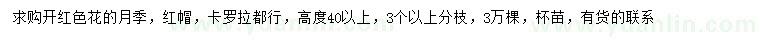 求購高40公分以上月季