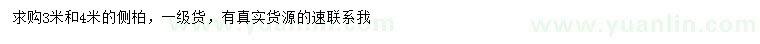 求購3、4米側柏