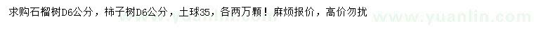 求購(gòu)地徑6公分石榴樹(shù)、柿子樹(shù)