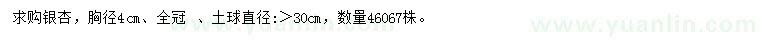 求購胸徑4公分銀杏